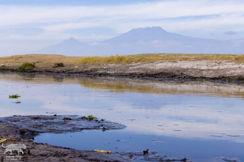 Reflections of Kilimanjaro in Tranquil Waters - Captured by Lance van de Vyver | Panthera Photo Safaris