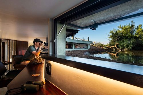 Panthera-photo-safaris-mashatu-and-Kings-camp-hides-1-of-22