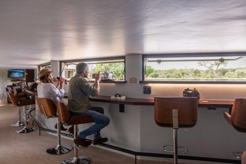 Panthera-photo-safaris-mashatu-and-Kings-camp-hides-12-of-22