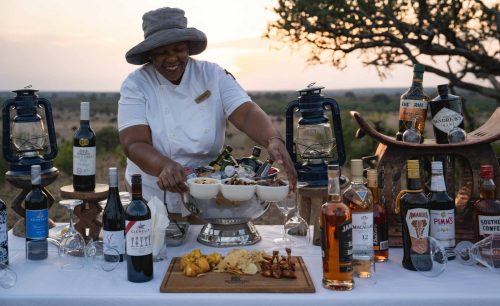 Panthera-photo-safaris-mashatu-and-Kings-camp-hides-16-of-22