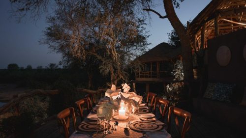 Panthera-photo-safaris-mashatu-and-Kings-camp-hides-19-of-22