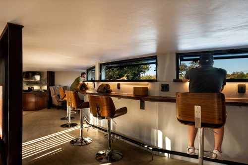 Panthera-photo-safaris-mashatu-and-Kings-camp-hides-2-of-22