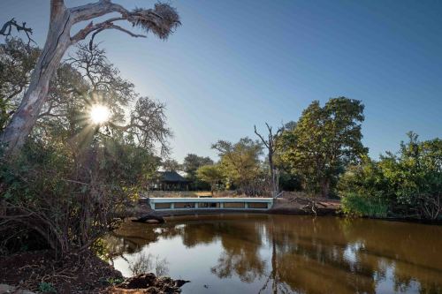 Panthera-photo-safaris-mashatu-and-Kings-camp-hides-3-of-22